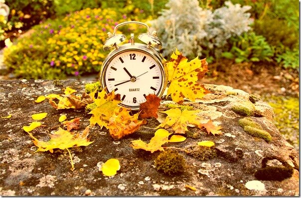 Положи будильник подальше от кровати. Как минимум так, чтобы его выключить пришлось вылезти из теплой кровати.