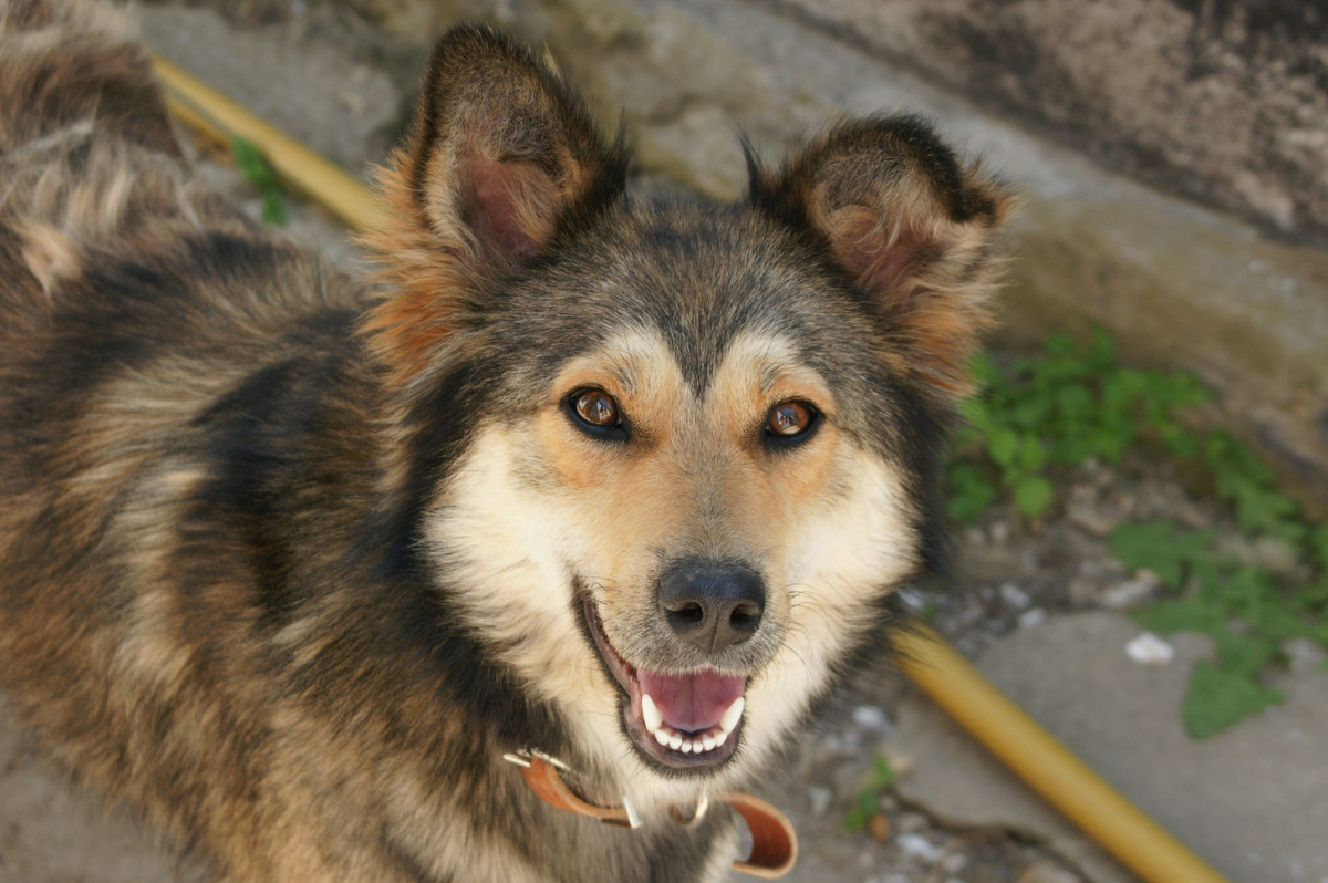 фото из личного архива