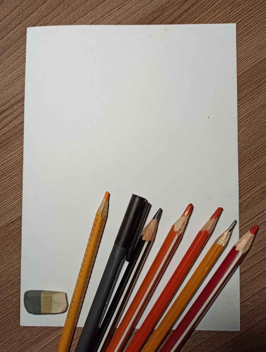 Как нарисовать гвоздику карандашом поэтапно