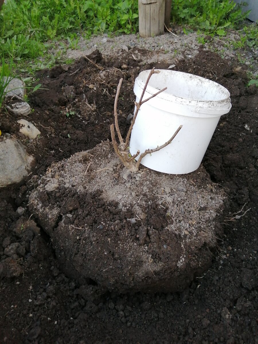 Фото автора.