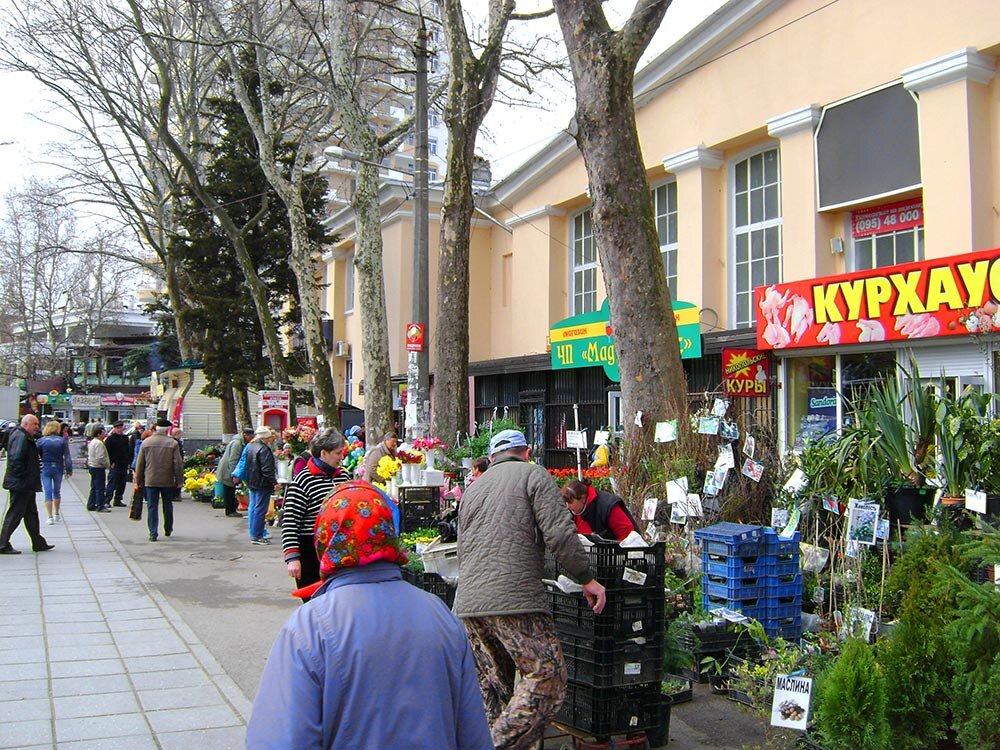 Фото из интернета.