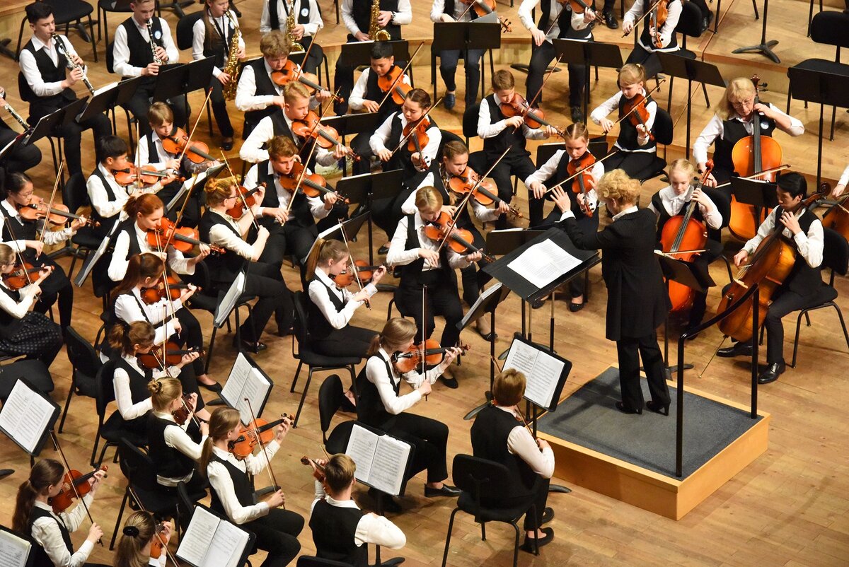 Сахалинский детский симфонический оркестр, фото из яндекс-картинок