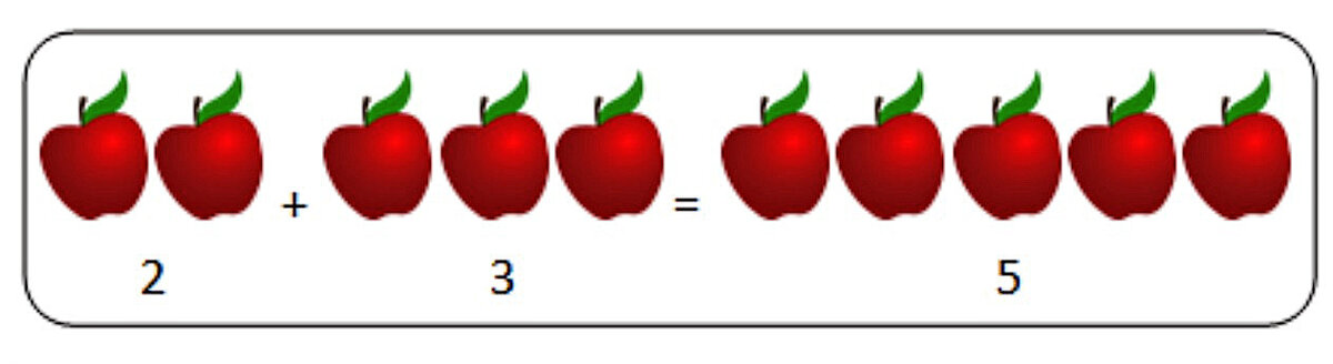 2+3=5