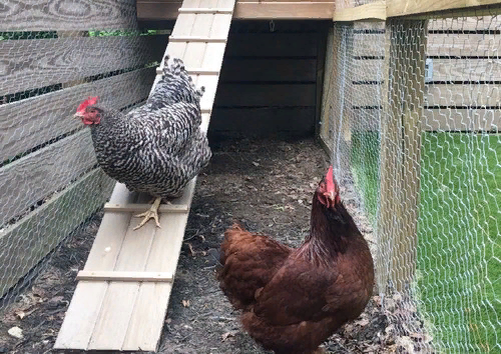 Яндекс фото