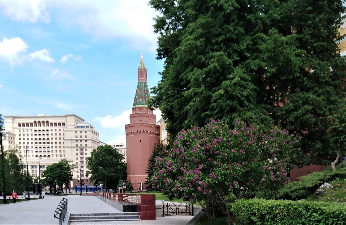 Александровский сад работа. Александровский сад работа