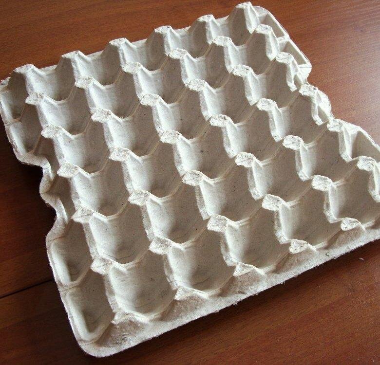 Фотография взята из открытых источников, с сервиса Яндекс.Картинки