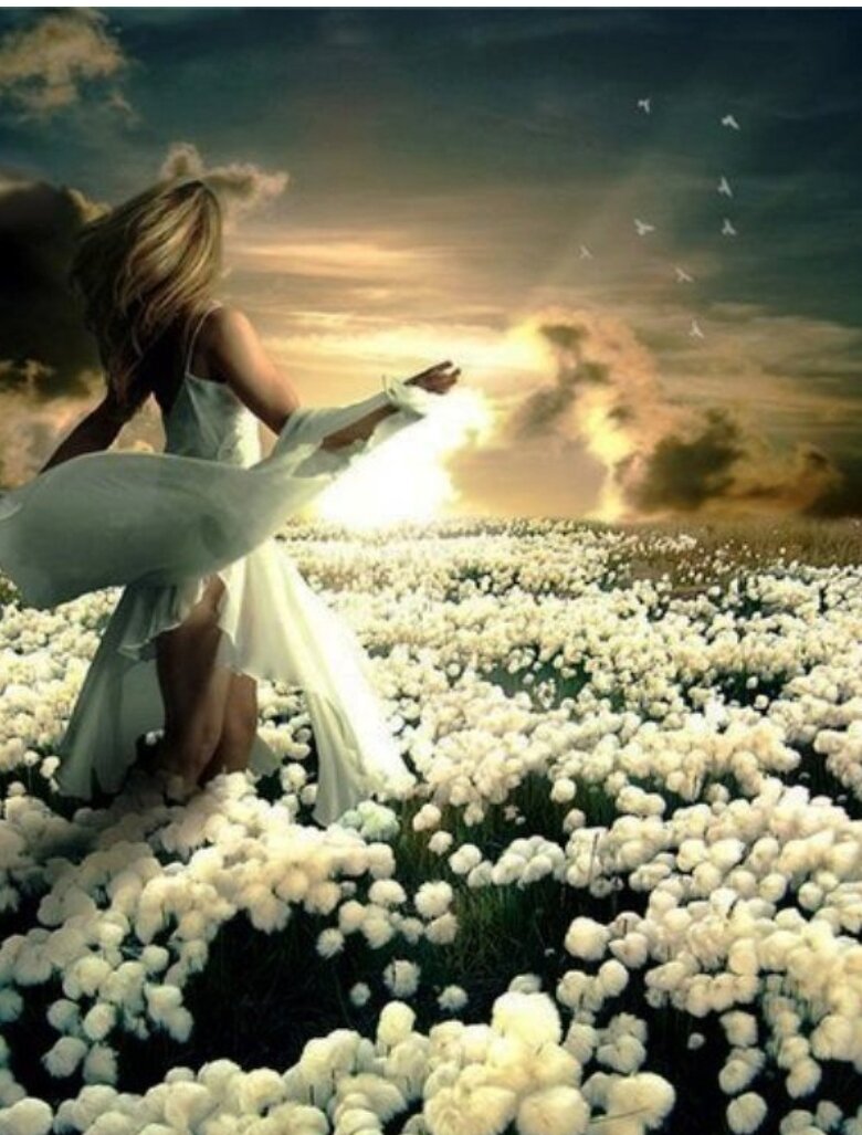 Цветы во сне.