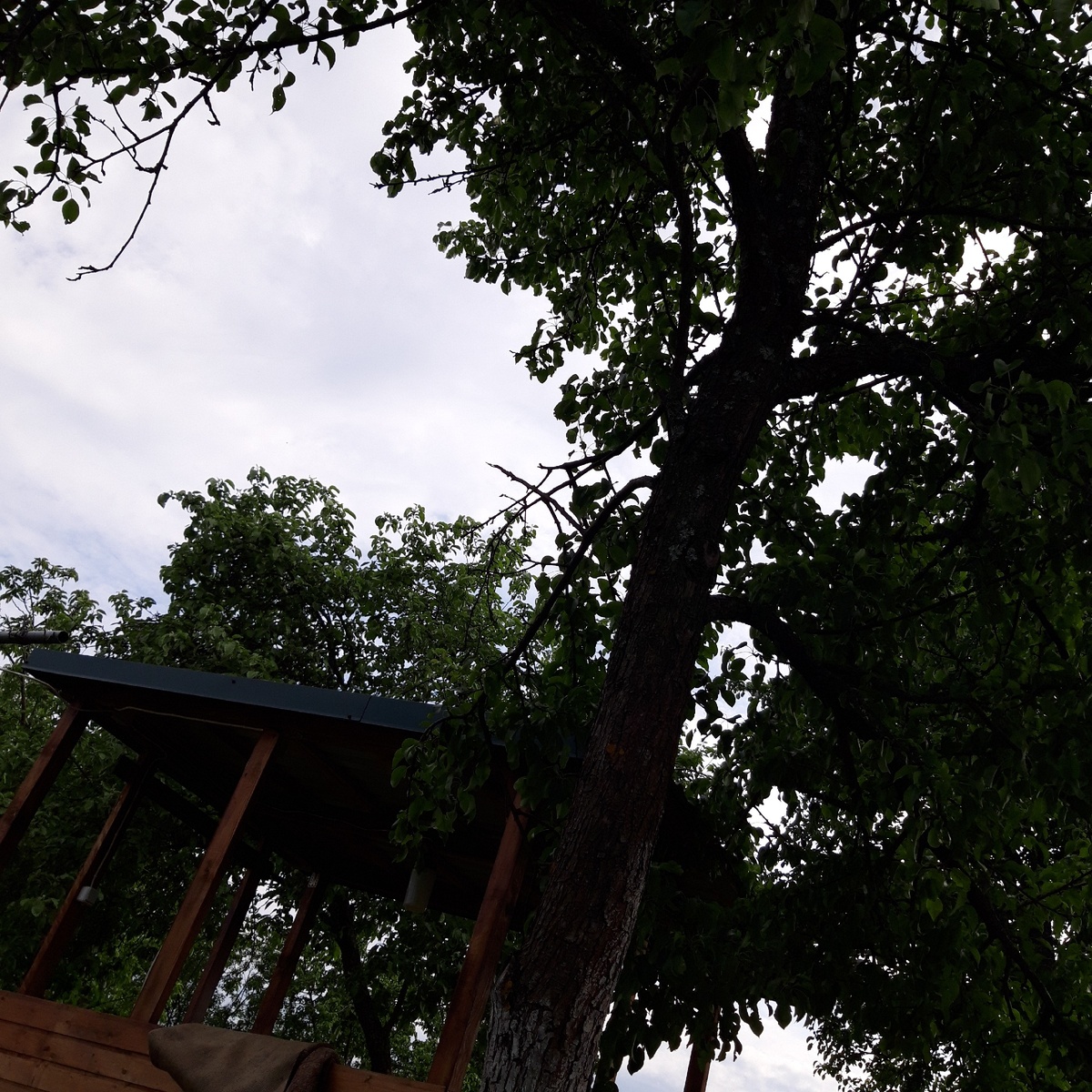 Природа очень благосклонна