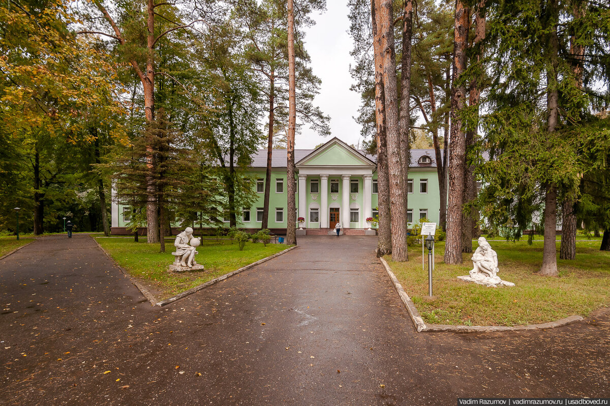 Деревня васильевское рузский