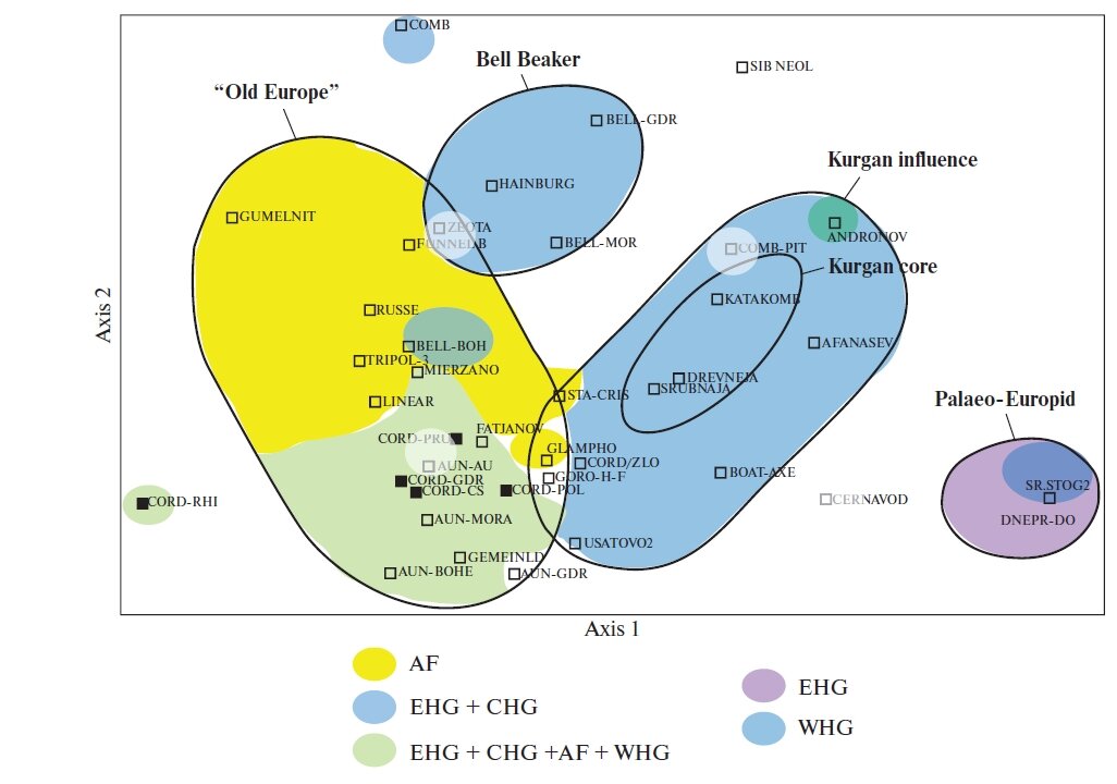 Совпадения и расхождения между краниометрическими и палеогенетическими данными по европейским культурам неолита и бронзового века. Контурами обозначены кластеры, выявленные по анализу краниометрических данных разных археологических культур (Menk 1980). Цвета - генетические компоненты, выявленные по анализу ДНК в тех же популяциях. На основании краниометрии представители культуры шнуровой керамики (CORD) попадают в кластер "Старая Европа", тогда как генетические данные говорят о том, что имеет место смешение степных генов EHG + CHG и местного варианта WHG + AF (зеленый цвет).