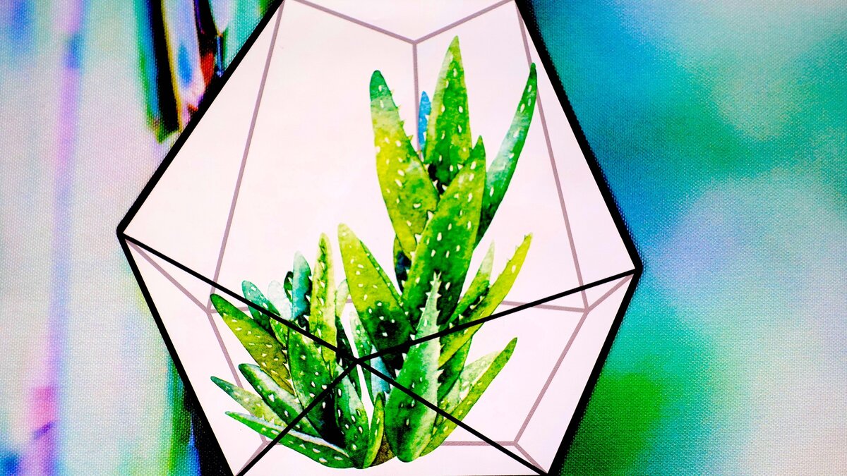 Призвание - место в Информационной Матрице Бытия.