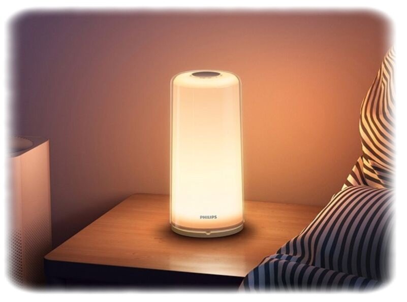 Фото из открытого источника