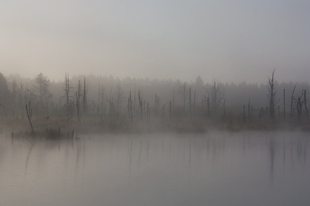 изображение с сайта pixabay.com