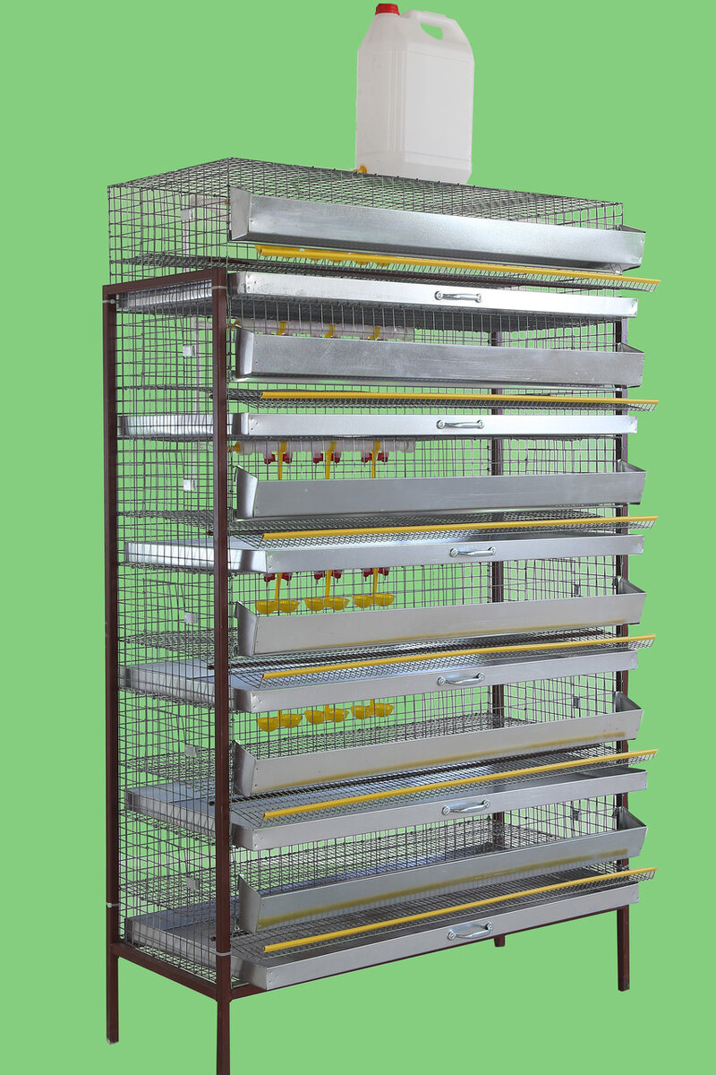 6-ти уровневая клетка для перепелов