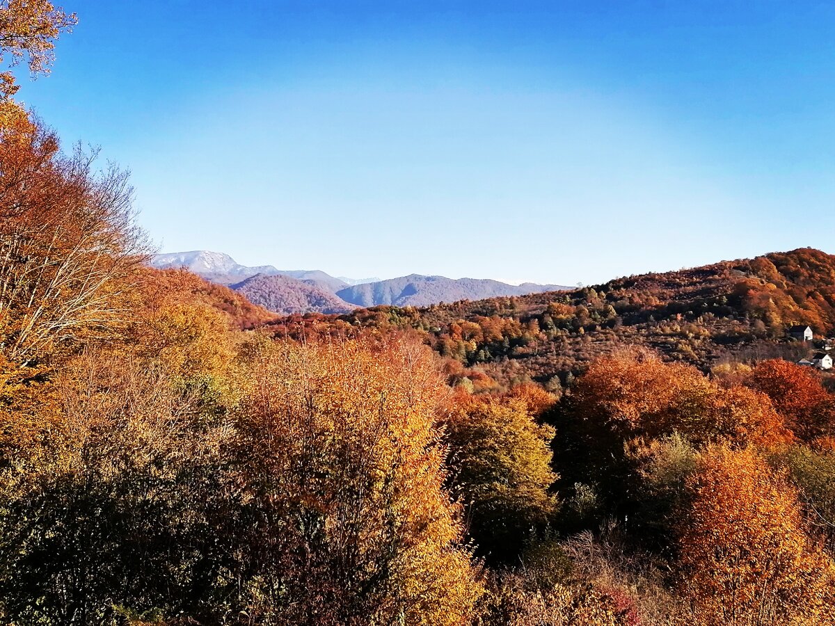  Декабрь, в  горах снег.