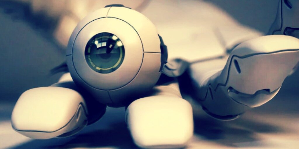 "Всевидящее око"