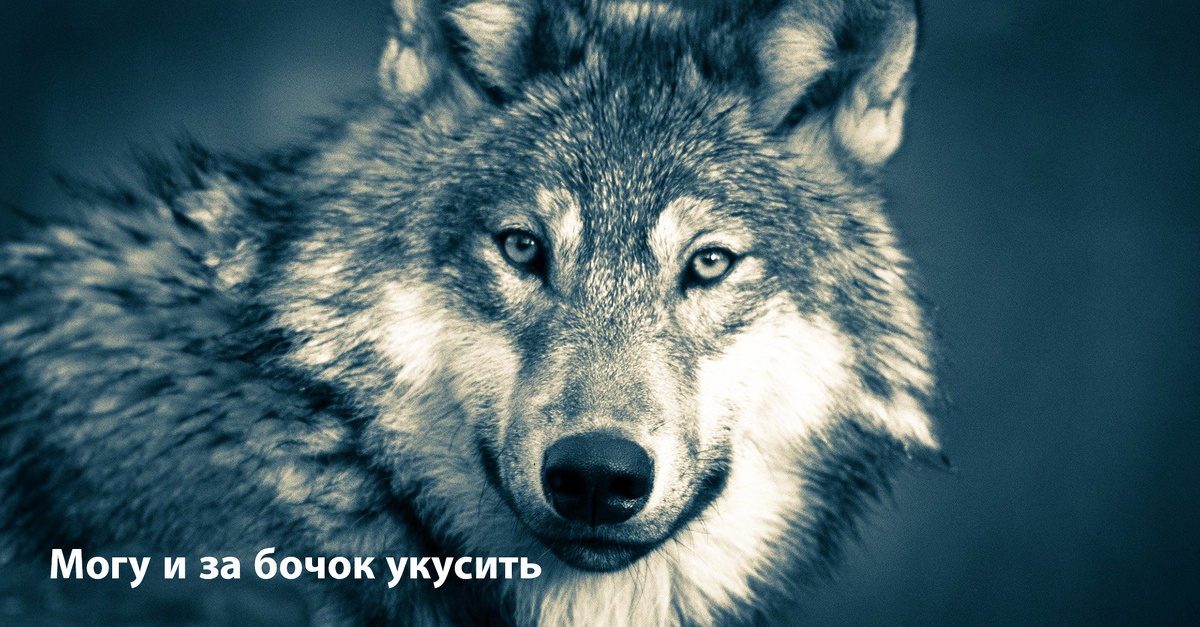 Фото из открытых источников