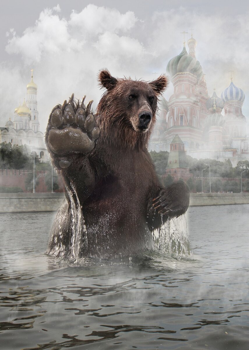 Медведь в Москве