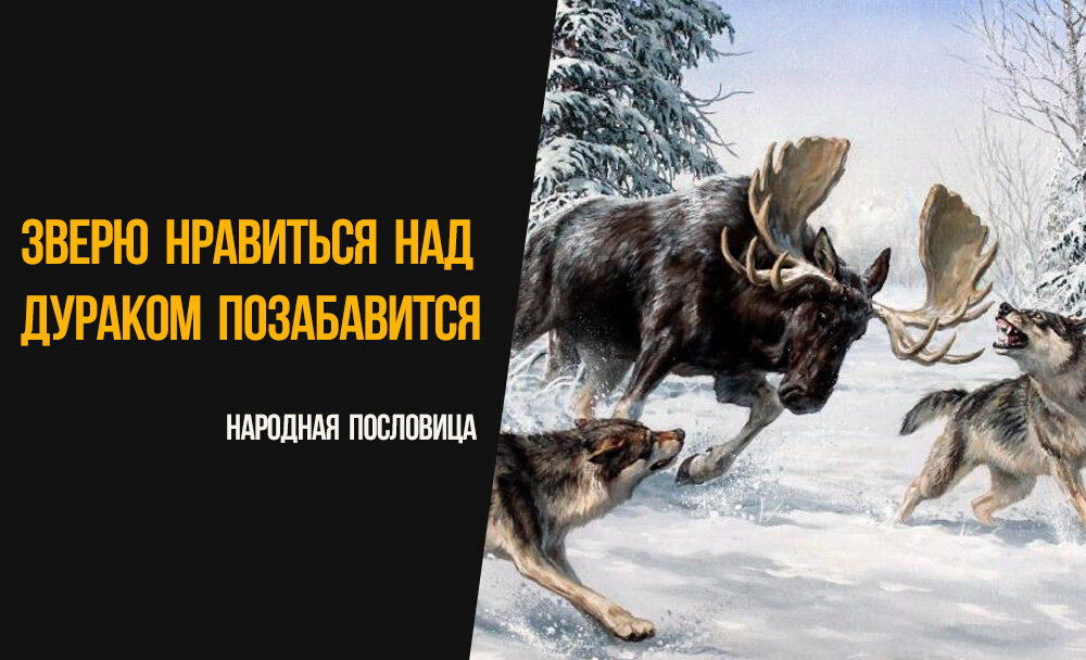 Так народная мысль отразила принцип тактического преимущества