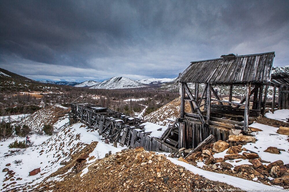 Фото использовано в качестве иллюстрации. Источник Яндекс Картинки 