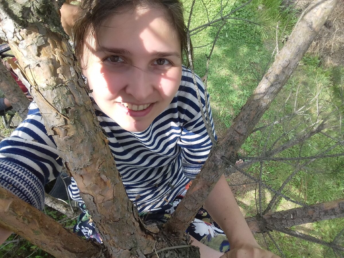 Фото автора | Автор на сосне ☺