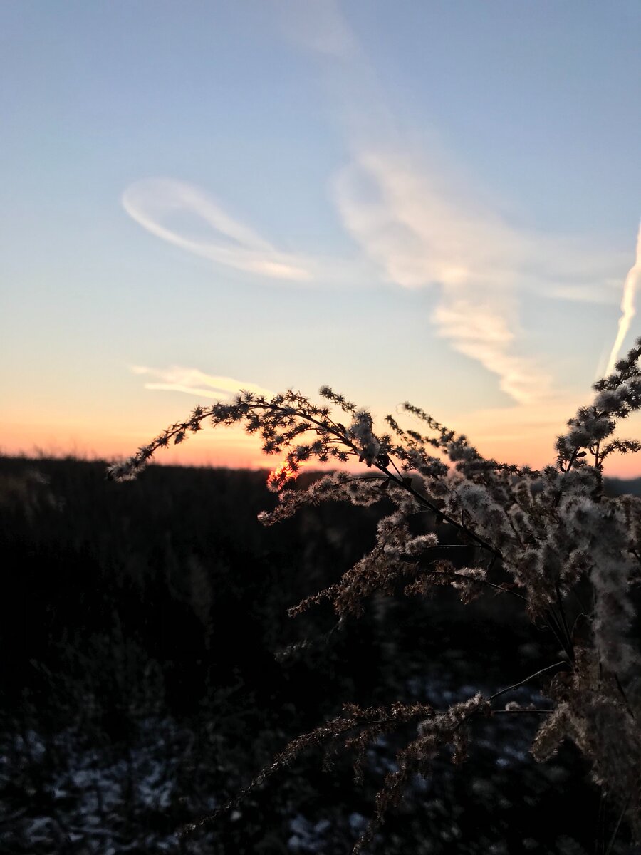 Видим , но не замечаем 