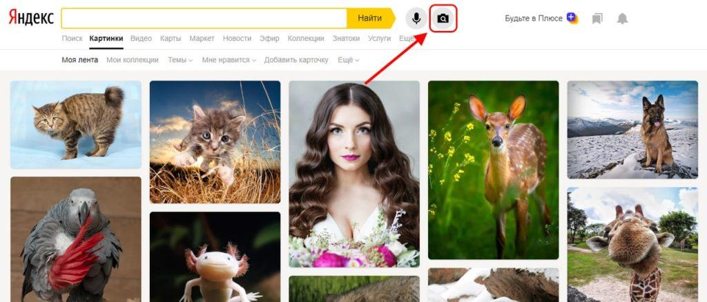 Загрузить фото и найти похожее. Похожие картинки Яндекс. Поиск похожих картинок по картинке. Искать похожее изображение. Искать похожие картинки.