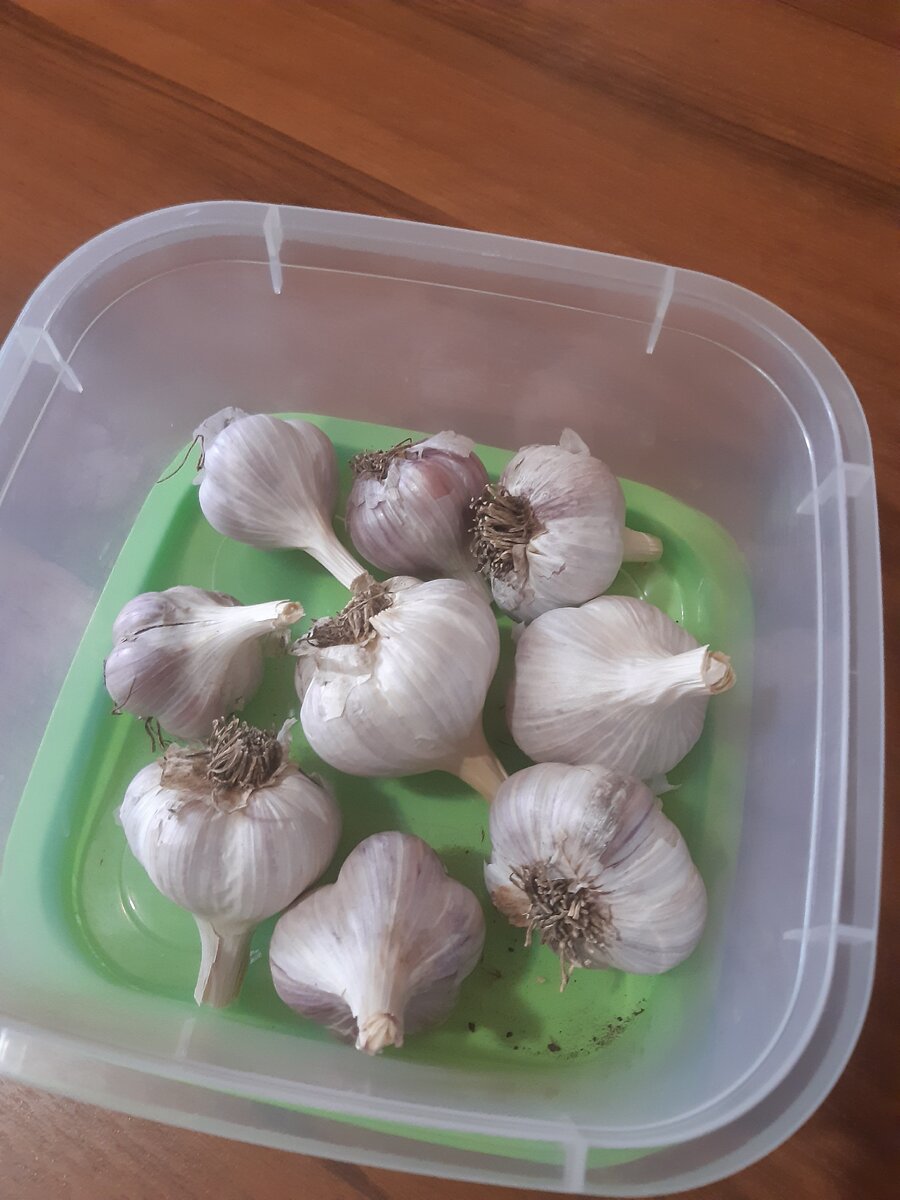 Для примера взяла небольшой контейнер (фото автора)