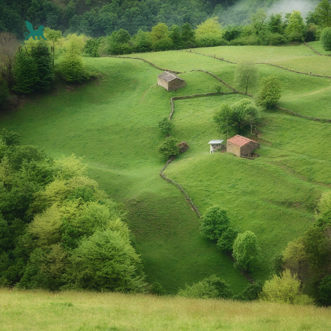 Фото из открытых источников: Canva