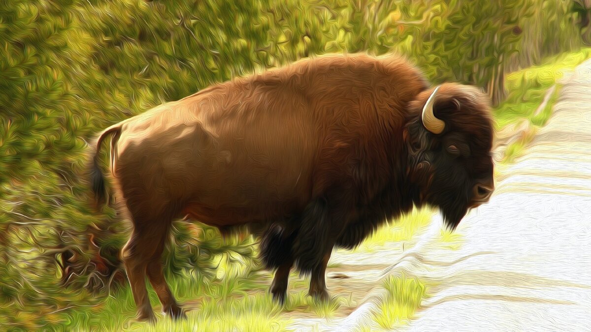 Изображение Rudi Nockewel с сайта Pixabay 