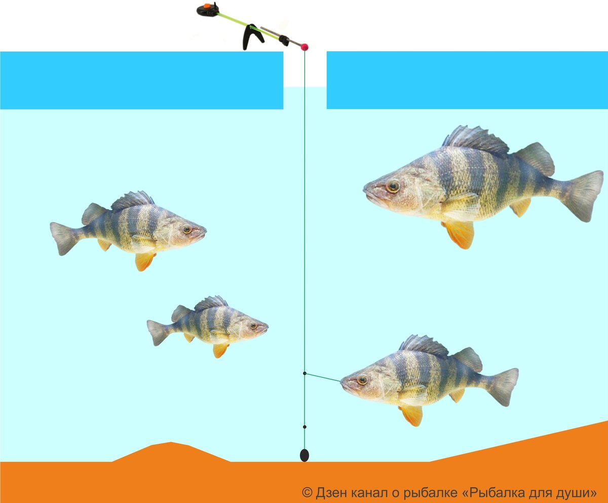 Иллюстрация © Дзен канал «Рыбалка для души»