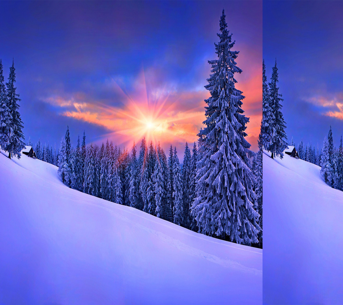 Красивая ёлочка 