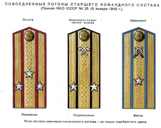 История погон