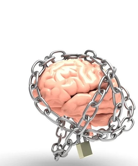 раскрыть свой потенциал через мозг