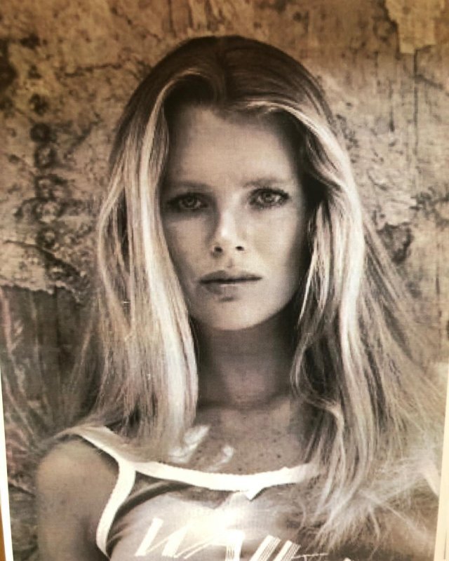  Ким Бэсинджер в юности. Фото из открытого источника  trinixy.ru