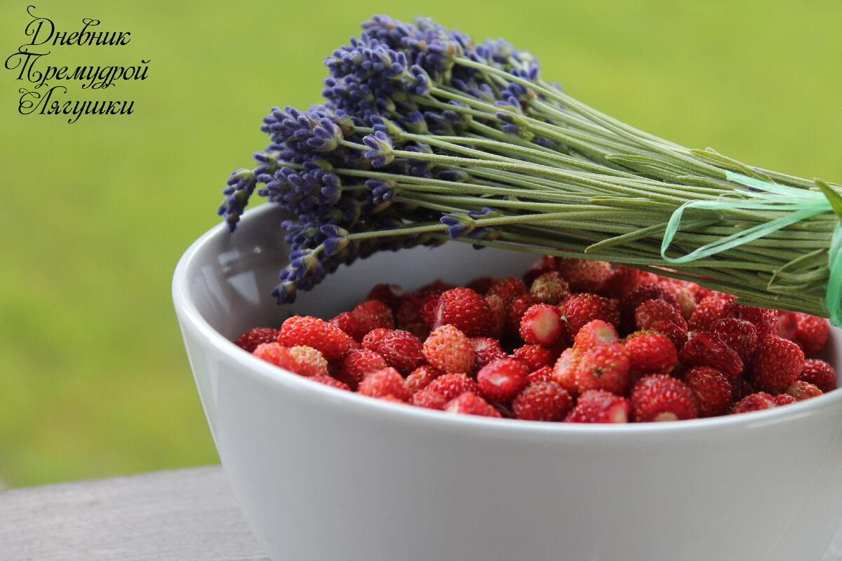 Фото автора. Тут все фото-мои)