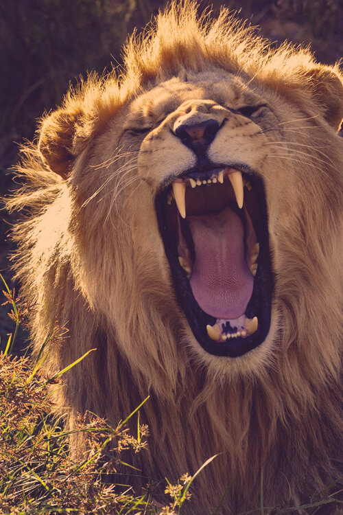 Фото из общедоступной сети Интернет