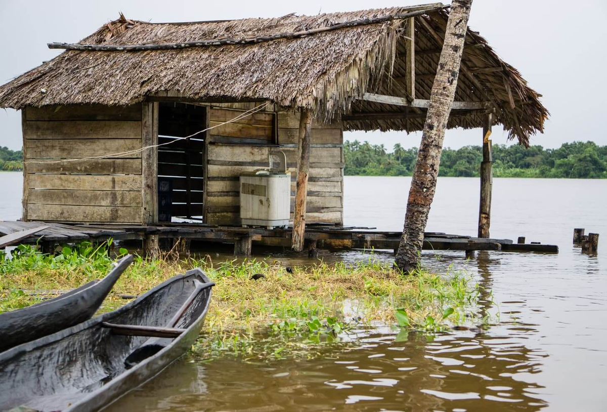 Пирс деревни варрау. Источник: https://travelwiththesmile.com/daily-life-of-warao-indians-in-venezuelan-jungle/