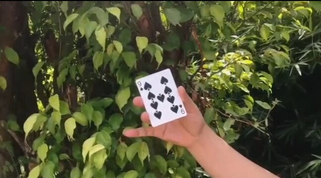 Карта 9 крести