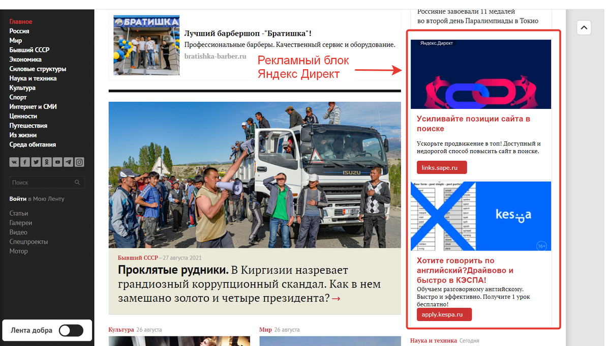 Рекламный блок на портале lenta ру.