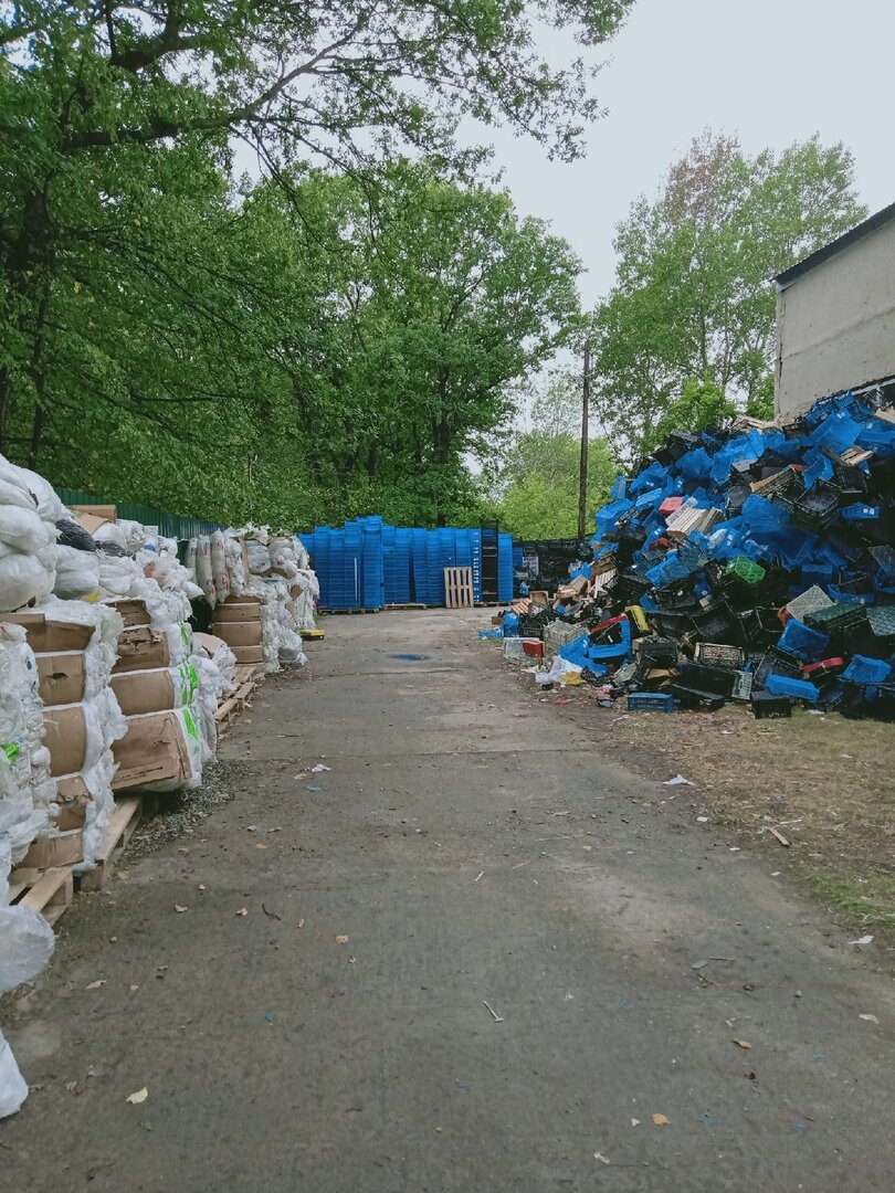 Фото автора: Старый Оскол, Белгородская обл. 