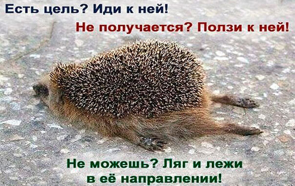 Яндекс. Картинка как раз на тему статьи