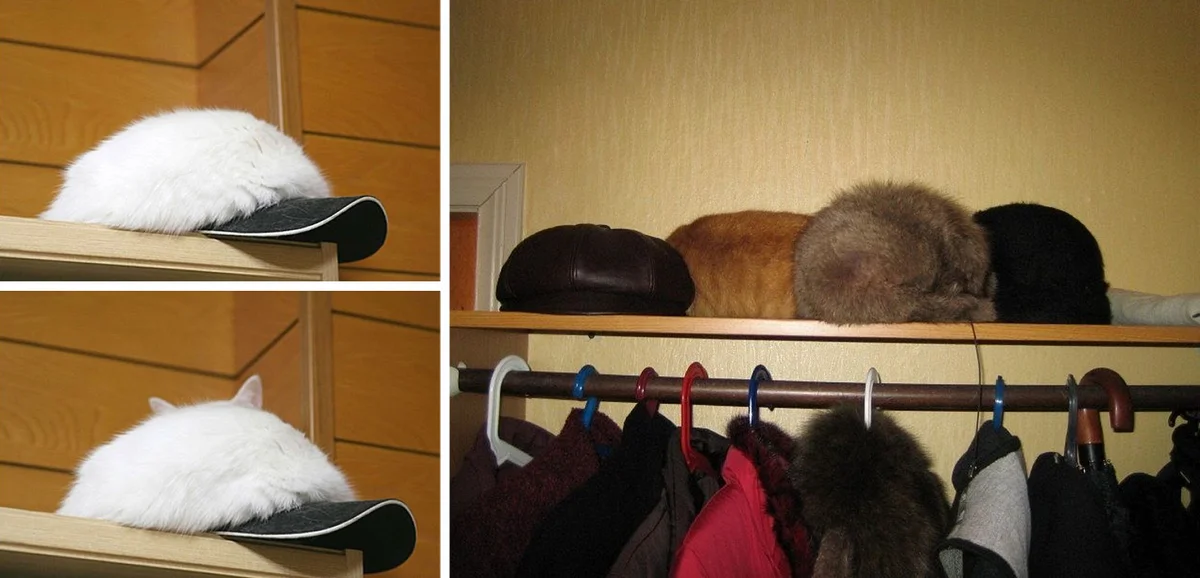 Хм, где бы она могла быть?