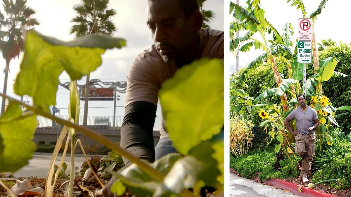 Между забором Рона и проезжей частью совсем узкий участок земли, но активист сажает на нем цветы, фрукты и овощи.