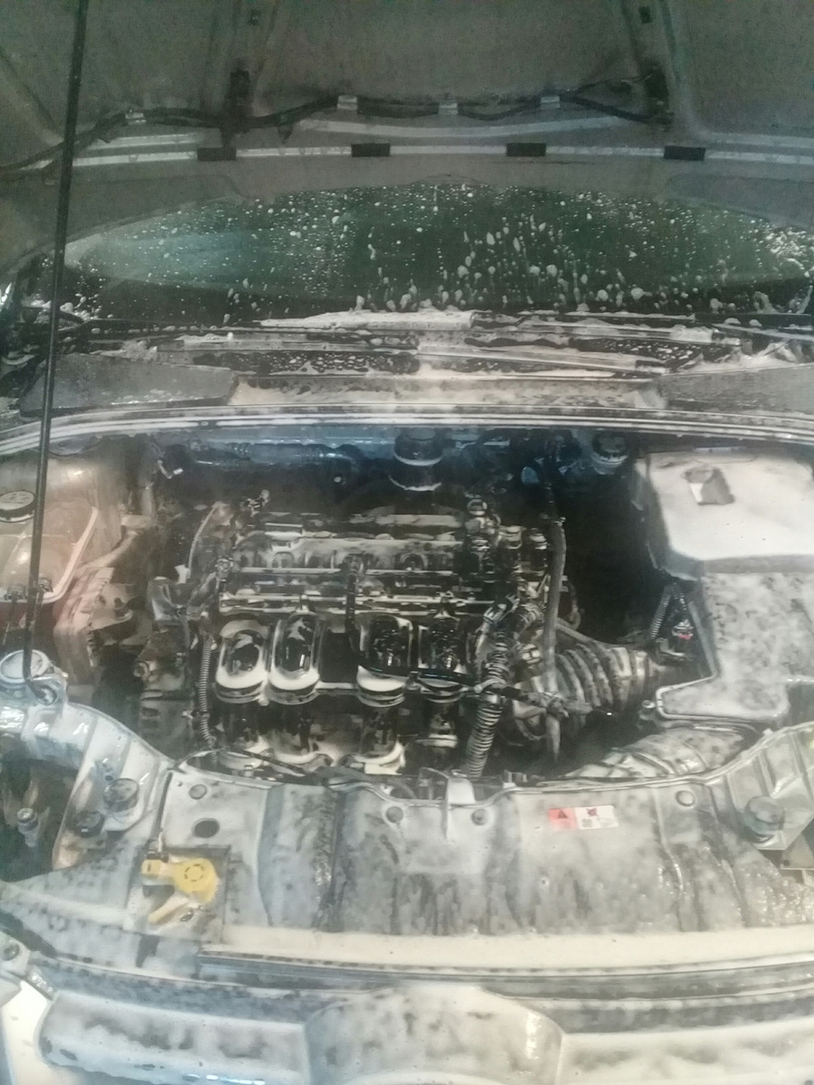 В процессе мойки