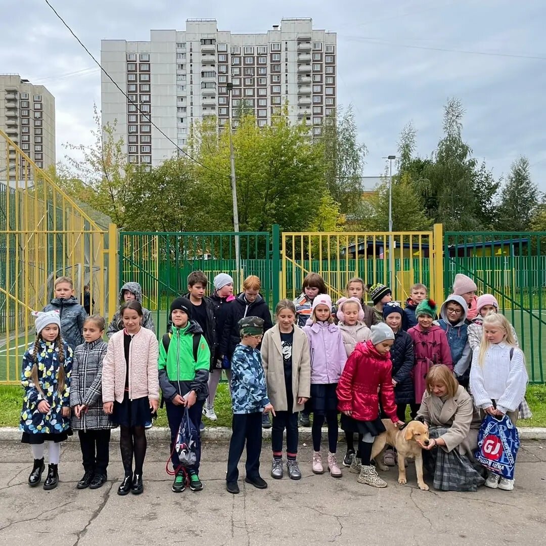 Московские школьники купили щенка, который станет собакой-поводырём и  верным другом для незрячего человека | Открытые НКО | Дзен