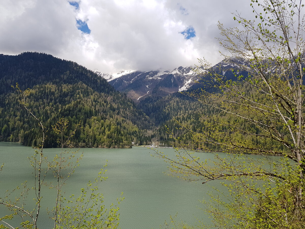 Фото автора озеро Рица Абхазия 