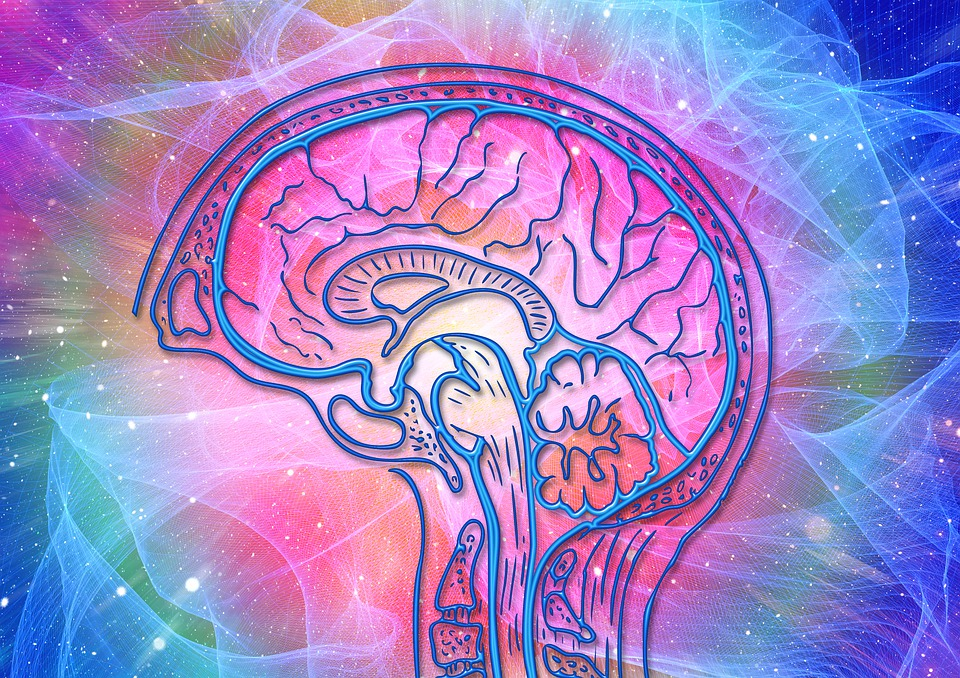 https://pixabay.com/ru/illustrations/%D0%BC%D0%BE%D0%B7%D0%B3-%D0%B2%D0%BE%D0%BB%D0%BD%D1%8B-%D1%81%D0%BE%D0%B7%D0%BD%D0%B0%D0%BD%D0%B8%D0%B5-%D1%81%D0%BE%D0%BF%D0%B5%D1%80%D0%B5%D0%B6%D0%B8%D0%B2%D0%B0%D1%82%D1%8C-4372153/