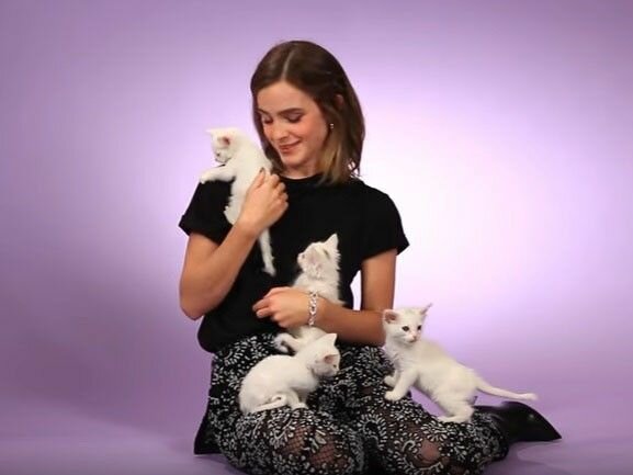 Оооо какая милота 🥰