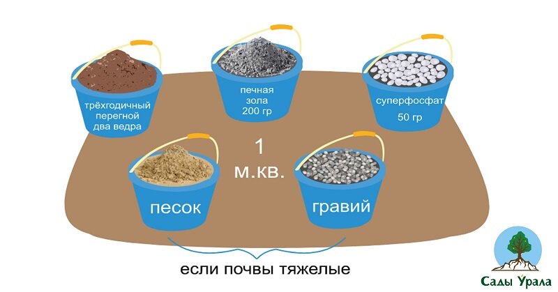 Бизнес план по выращиванию лаванды